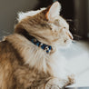 Blue leather cat collar on a brown long haired cat. Shows the magnetic breakaway clasp as well as the ring adjustment close up.