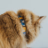 Blue and tan reversible leather cat collar on a brown long haired cat. Shows the magnetic breakaway clasp as well as the ring adjustment close up. 