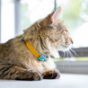 Yellow and aqua reversible leather cat collar on a brown long haired cat. 
