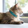 Aqua and yellow reversible leather cat collar on a brown long haired cat. 