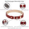 Features of  red and rose reversible leather cat collar. Shows details on ring adjustment, the keeper, the alternative clasp for a lighter pull force, and the magnetic breakaway feature.