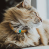 Yellow and green reversible leather cat collar on a brown long haired cat. Shows the magnetic breakaway clasp as well as the ring adjustment close up.